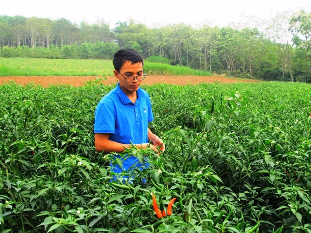 Dương Văn Khoa hướng tới làm mô hình nông nghiệp cao cho ra sản phẩm an toàn, sạch...