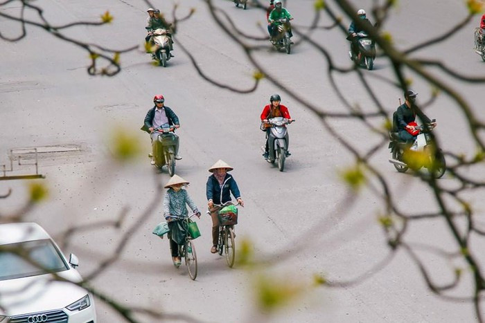 (Ảnh: Thế Đại/Vietnam+) (Ảnh: Thế Đại/Vietnam+)
