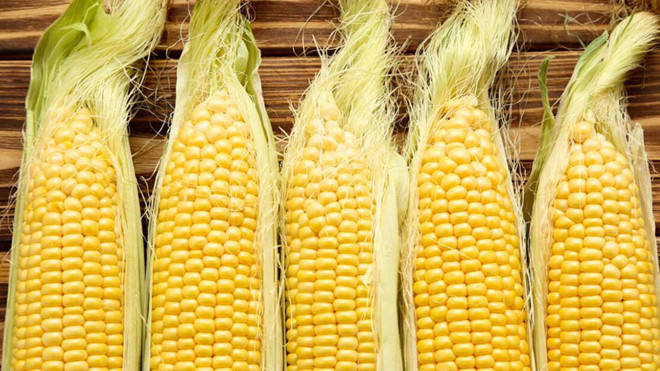 Râu bắp mang lại những lợi ích sức khỏe đầy ấn tượng - Shutterstock