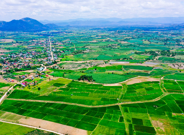 Hơn 2.663 ha cây trồng các loại trên địa bàn huyện Krông Pa đang được hưởng nguồn nước dồi dào do thủy lợi Ia Mlah cung cấp. Ảnh: N.T