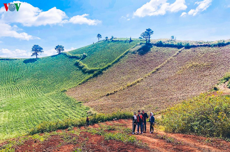 Những khung cảnh rừng núi hoang sơ là điểm mạnh của Gia Lai, độc đáo nhất phải kể đến núi lửa Chư Đăng Ya ẩn mình giữa rừng xanh hùng vĩ, xanh ngát mùa mưa và vàng rực mùa khô. Hay Biển Hồ Chè là sự kết hợp giữa hồ nước thủy lợi và nương chè bạt ngàn.