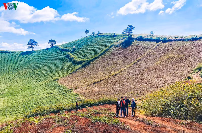 Những khung cảnh rừng núi hoang sơ là điểm mạnh của Gia Lai, độc đáo nhất phải kể đến núi lửa Chư Đăng Ya ẩn mình giữa rừng xanh hùng vĩ, xanh ngát mùa mưa và vàng rực mùa khô. Hay Biển Hồ Chè là sự kết hợp giữa hồ nước thủy lợi và nương chè bạt ngàn.