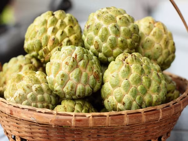 Na: Dù giàu vitamin C, canxi, sắt và chất xơ, na vẫn là loại quả mà người bệnh tiểu đường cần cẩn trọng khi ăn. Chỉ 100g na có thể chứa tới 23g carbs.