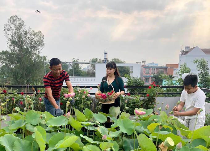 Hồ sen nở quanh năm trên sân thượng 300 m2Đầm sen là nơi yêu thích nhất của gia đình anh Huynh và bạn bè anh. Ai đến chơi cũng thích qua đây chụp ảnh. "Có lần đầm quá đẹp, mấy mẹ con mải chụp ảnh để cháy cả nồi cá kho", anh Huynh kể. Cứ tới ngày lễ là vợ anh Huynh dặn trước: "Nhà nhiều hoa rồi. Đừng có mà mua hoa nghe". Hồ sen nở quanh năm trên sân thượng 300 m2Đầm sen là nơi yêu thích nhất của gia đình anh Huynh và bạn bè anh. Ai đến chơi cũng thích qua đây chụp ảnh.