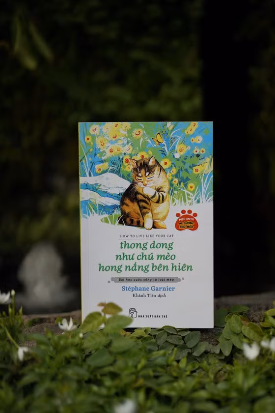 "Thong dong như chú mèo hong nắng bên hiên" mang đến những bài học cuộc sống từ loài mèo.