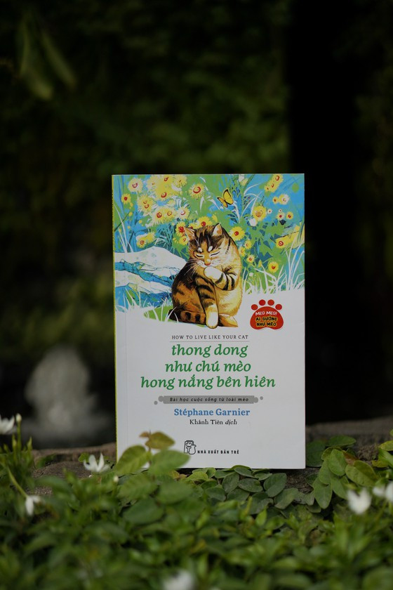 "Thong dong như chú mèo hong nắng bên hiên" mang đến những bài học cuộc sống từ loài mèo. "Thong dong như chú mèo hong nắng bên hiên" mang đến những bài học cuộc sống từ loài mèo.