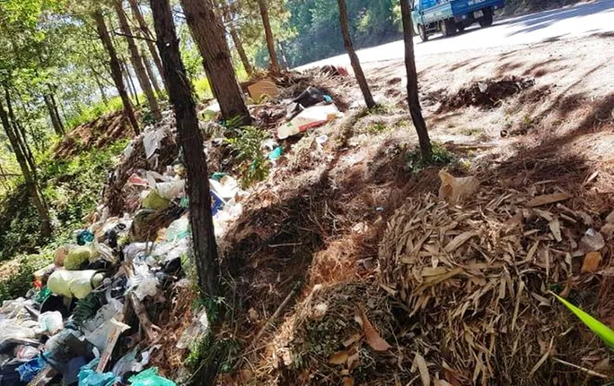 Đủ thứ rác thải do một số người thiếu ý thức đã tạo hình ảnh xấu xí cho Đà Lạt.