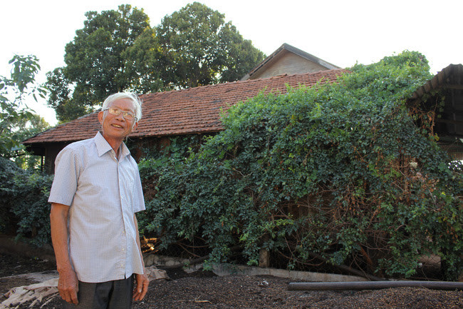 Giàn trà dây leo rợp nóc nhà sàn của ông Lô Quốc Hợi. Ảnh: PL