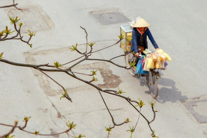(Ảnh: Thế Đại/Vietnam+) (Ảnh: Thế Đại/Vietnam+)