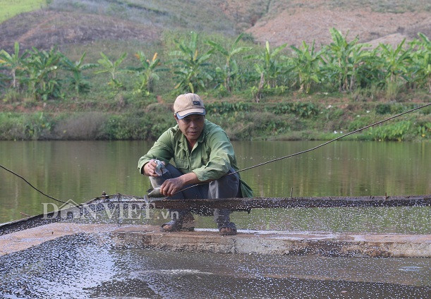 Từ khi đào ao, thả cá trên núi, thu nhập của ông Địa không ngừng tăng cao. Cuộc sống của gia đình ông ngày càng sung túc, con cái đều được ăn học và thành đạt.