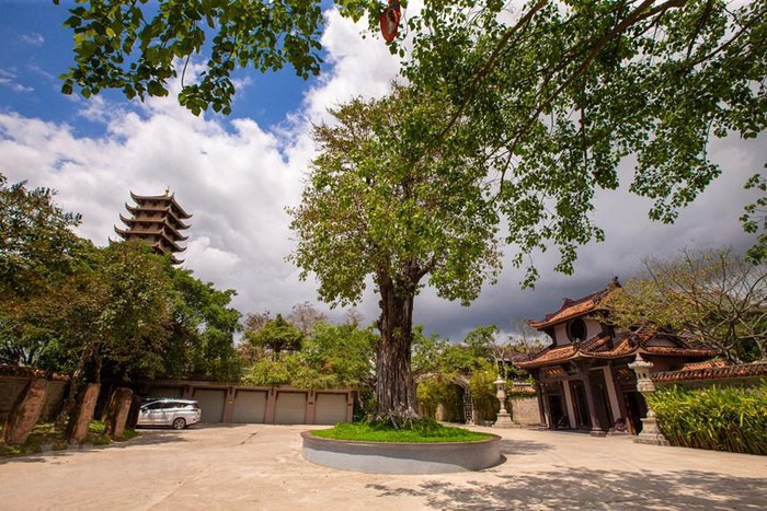 Nếu là một tín đồ của Phật giáo hay chỉ đơn giản là một người đam mê nghệ thuật cái đẹp, du khách sẽ không thể bỏ lỡ cơ hội một lần được đặt chân tới (Ảnh: Minh Sơn/Vietnam+)