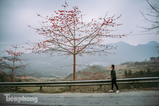 Vẻ đẹp của chúng khiến người xê dịch phải giảm ga, dừng xe để có thể lưu giữ những khoảnh khắc.