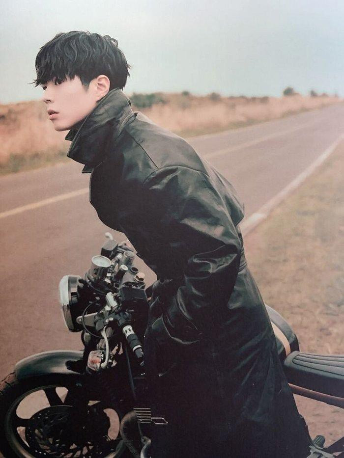 Park Bo Gum. Ảnh: T.L  Park Bo Gum. Ảnh: T.L