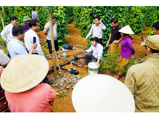 Để người nông dân làm chủ được công nghệ, các chuyên gia nông nghiệp đã về tận vườn tiêu hướng dẫn cách vận hành hệ thống tưới tiết kiệm - Ảnh: Nguyễn Phúc Để người nông dân làm chủ được công nghệ, các chuyên gia nông nghiệp đã về tận vườn tiêu hướng dẫn cách vận hành hệ thống tưới tiết kiệm - Ảnh: Nguyễn Phúc