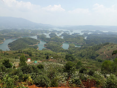 Tà Đùng mùa cà phê nở hoa