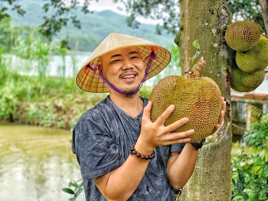 Hái mít chín cây xuống và ăn luôn tại chỗ, còn gì thích thú hơn với người dân thành phố. (Ảnh: Xuân Mai/Vietnam+)