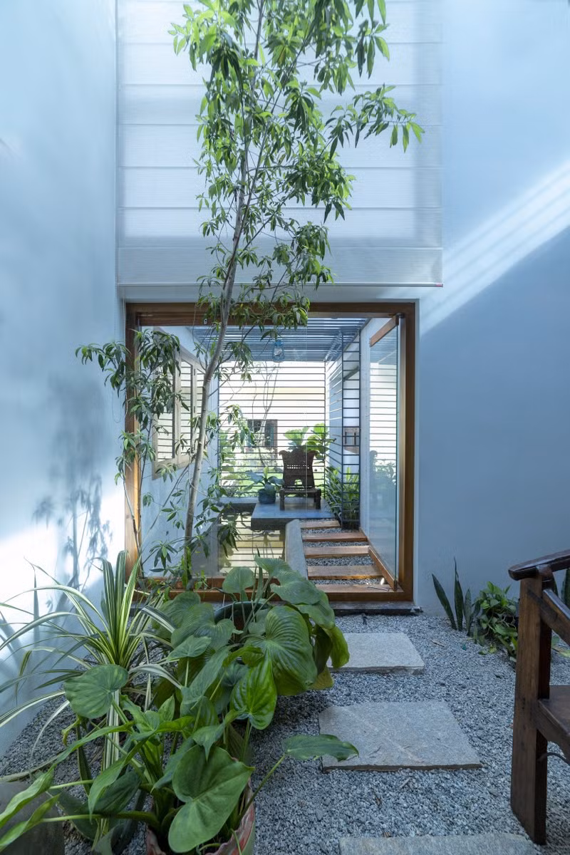 Thiết kế cảnh quan cho ngôi nhà này là bức tranh giới thiệu các màu sắc và kết cấu khác nhau của hệ thực vật xanh tươi vùng bản địa.