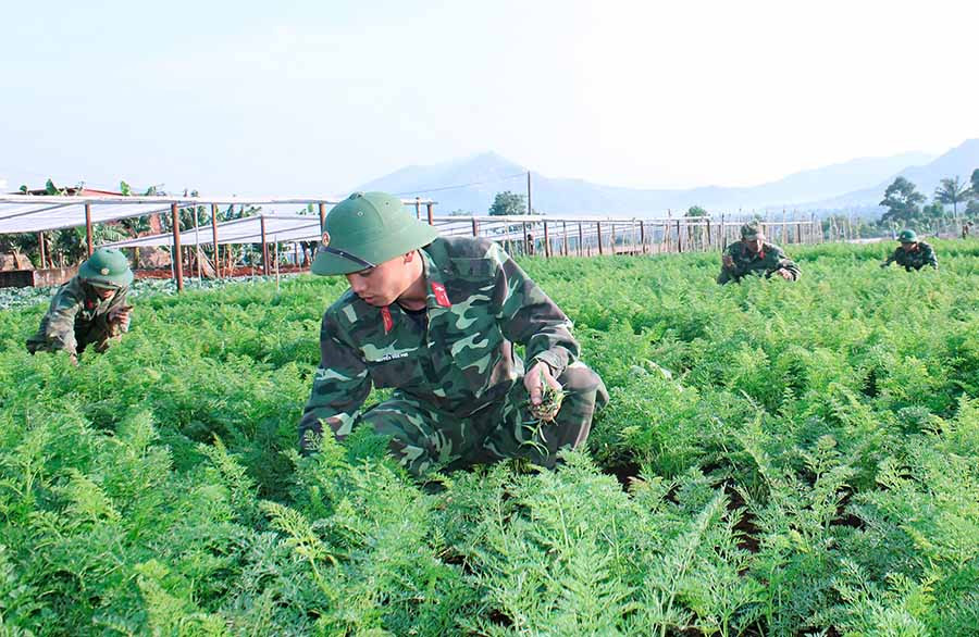  Cán bộ, chiến sĩ Lữ đoàn Phòng không 234 (Quân đoàn 3) chăm sóc vườn rau của đơn vị. Ảnh: V.H