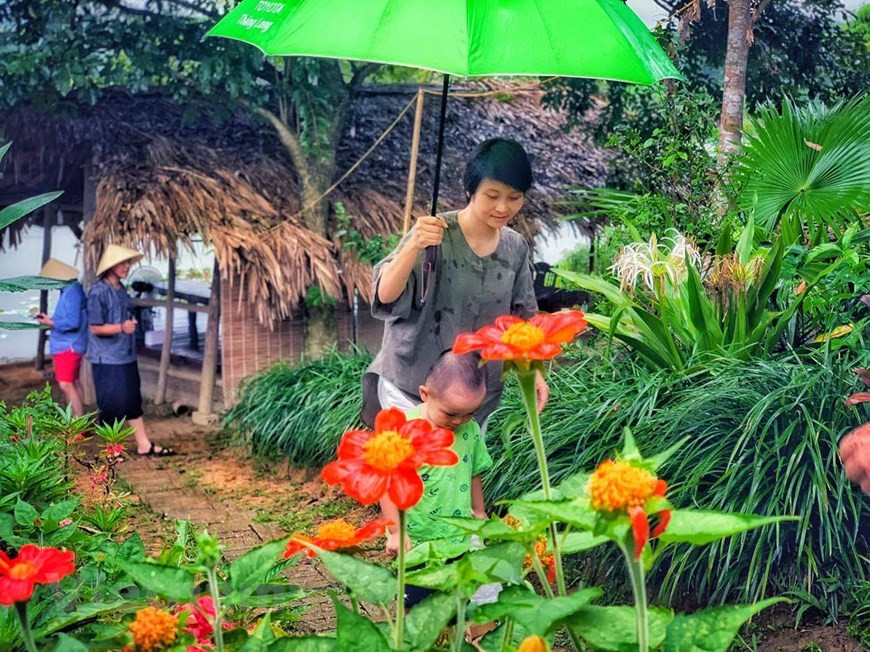 Cho trẻ em đi trải nghiệm thiên nhiên hoang dã đang là lựa chọn của nhiều gia đình trẻ. Những mái nhà tranh nằm giữa những bụi hoa rực rỡ sắc màu. (Ảnh: Xuân Mai/Vietnam+) Cho trẻ em đi trải nghiệm thiên nhiên hoang dã đang là lựa chọn của nhiều gia đình trẻ. Những mái nhà tranh nằm giữa những bụi hoa rực rỡ sắc màu. (Ảnh: Xuân Mai/Vietnam+)