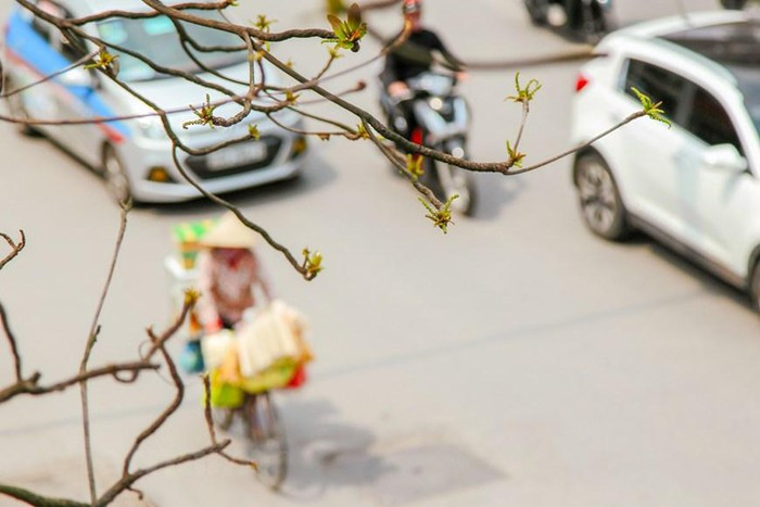 (Ảnh: Thế Đại/Vietnam+) (Ảnh: Thế Đại/Vietnam+)