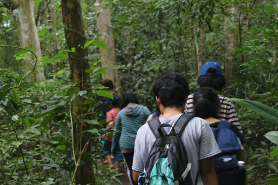  Đi dưới tán rừng mát lạnh