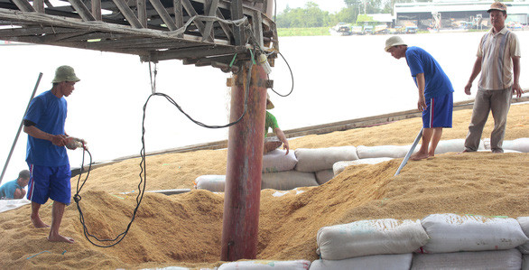 Hoạt động xay xát, chế biến gạo xuất khẩu cũng bị ảnh hưởng sau lệnh tạm ngừng xuất khẩu gạo đột ngột - Ảnh: CHÍ QUỐC