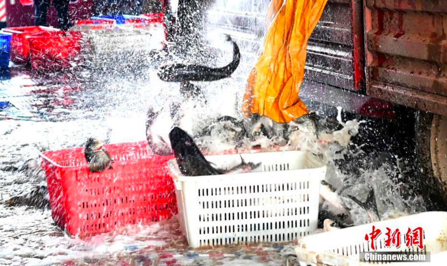 Thành phố Hàm Ninh thuộc tỉnh Hồ Bắc tổ chức 20 xe chở cá, mang khoảng 100.000kg cá tới Vũ Hán - Ảnh: Chinanews
