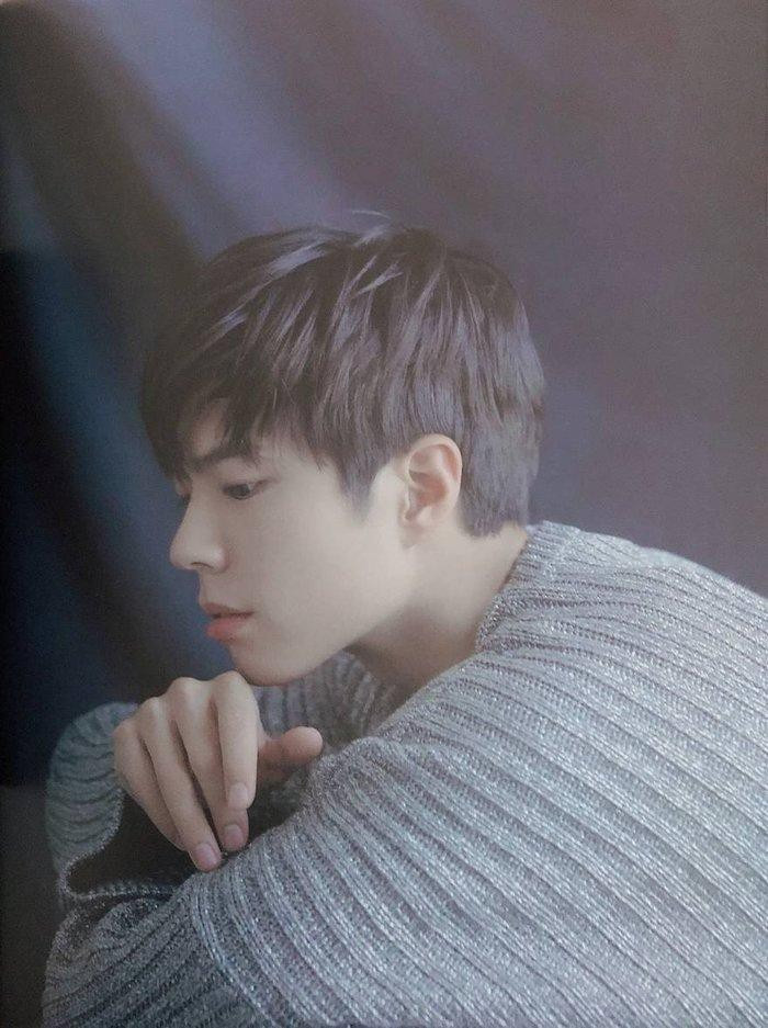 Nam diễn viên Park Bo Gum. Ảnh: T.L  Nam diễn viên Park Bo Gum. Ảnh: T.L
