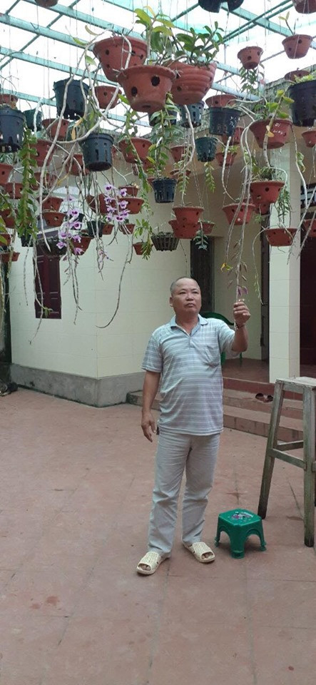 Bác Đỗ Văn Sâm cho biết, bác đam mê trồng hoa lan rừng từ lâu. Ban đầu chỉ trồng vài chậu cho vui, càng chơi, càng thấy thích. Bác Đỗ Văn Sâm cho biết, bác đam mê trồng hoa lan rừng từ lâu. Ban đầu chỉ trồng vài chậu cho vui, càng chơi, càng thấy thích.