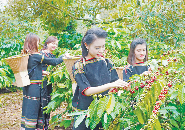 Ảnh minh họa. Ảnh minh họa.