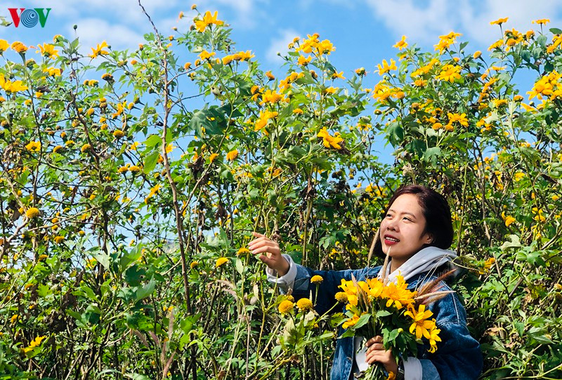 Du khách tới Gia Lai có thể di chuyển kết hợp du lịch Đắk Lắk, trải nghiệm nghe cồng chiêng, uống rượu cần, cùng khám phá văn hóa độc đáo của các dân tộc Tây Nguyên.