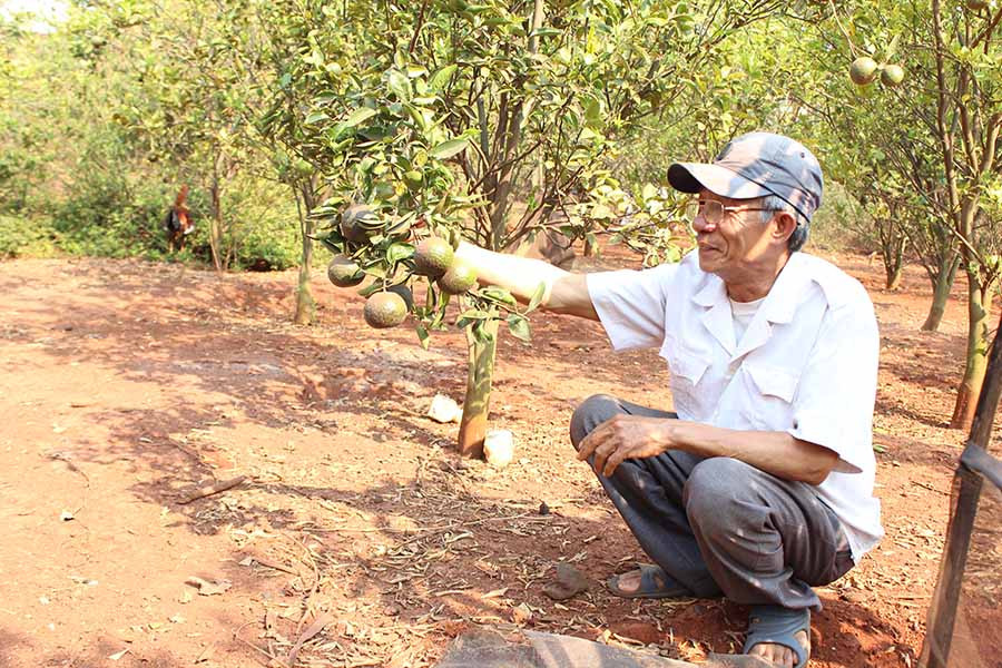 Ảnh: Nguyễn Diệp