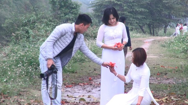 Để có thể được chiêm ngưỡng và lưu lại những hình ảnh thú vị đường hoa gạo này, nhiều bạn trẻ đã không quản ngại đường xa đến đây, để hoà mình vào thiên nhiên và lưu lại những hình ảnh thú vị trong mùa hoa gạo tháng Ba. (Ảnh: Khiếu Tư/TTXVN)