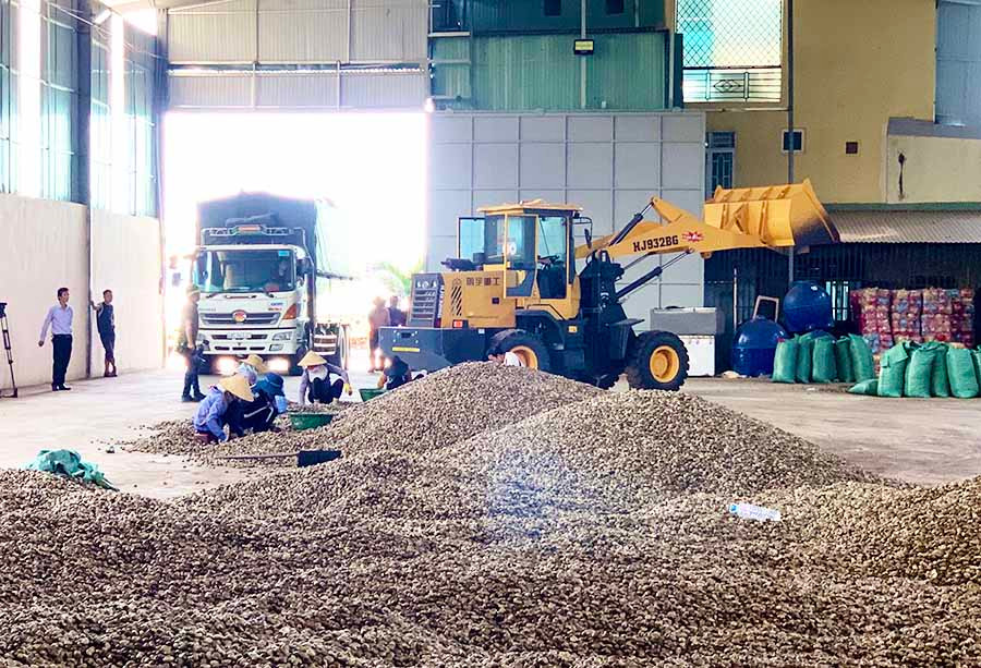 Doanh nghiệp có thể tiếp tục tiến hành xuất-nhập khẩu hàng hóa qua thị trường Trung Quốc. Ảnh: Hà Duy Doanh nghiệp có thể tiếp tục tiến hành xuất nhập khẩu hàng hóa qua thị trường Trung Quốc. Ảnh: Hà Duy