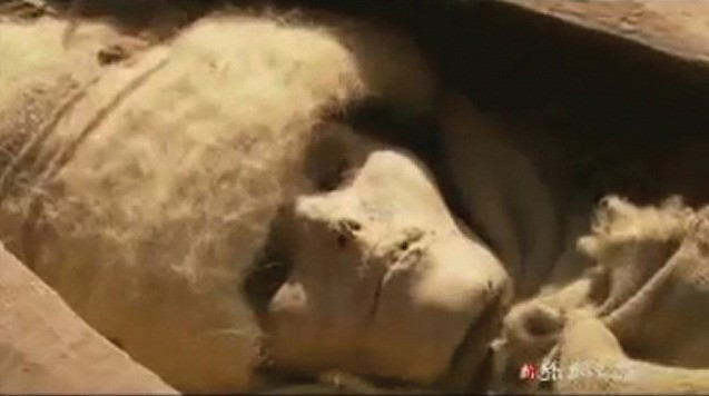 Mỹ nhân qua đời cách đây khoảng 4.000 năm đội chiếc mũ đặc biệt cao hình tháp nhọn màu trắng. Chân của xác ướp có đi một đôi giày lót lông cổ cao.