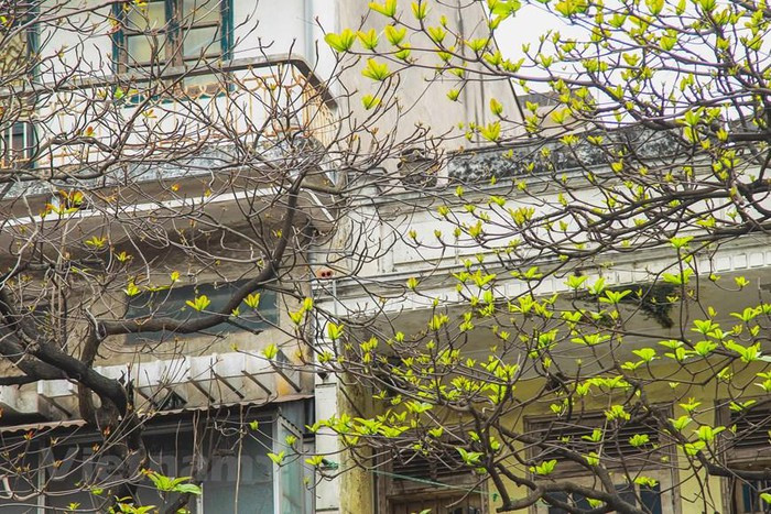 (Ảnh: Thế Đại/Vietnam+) (Ảnh: Thế Đại/Vietnam+)