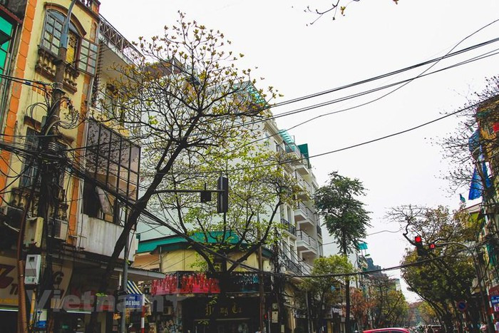 (Ảnh: Thế Đại/Vietnam+) (Ảnh: Thế Đại/Vietnam+)