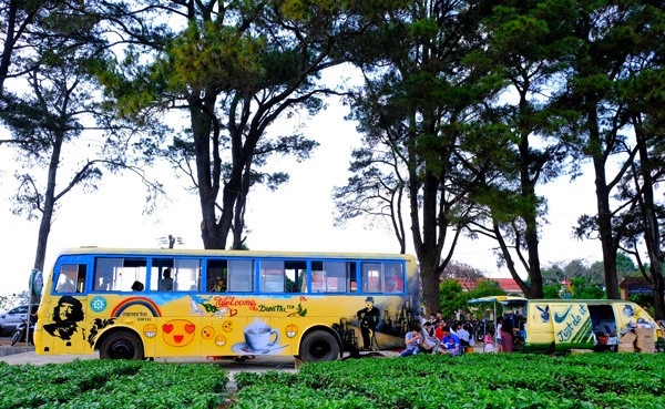 Mô hình xe cà phê nằm dưới tán thông xanh có view ngắm toàn cảnh Biển Hồ chè. Ảnh: M.C