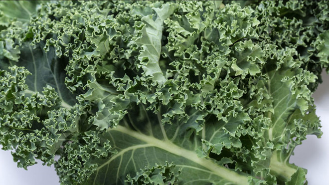 Cải xoăn giúp giảm nguy cơ mắc bệnh tim, ngăn ngừa và chống ung thư.../ Shutterstock Cải xoăn giúp giảm nguy cơ mắc bệnh tim, ngăn ngừa và chống ung thư.../ Shutterstock