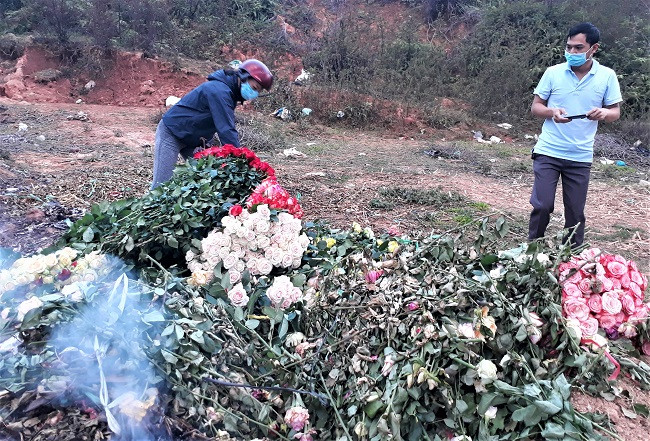 Cảnh đổ bỏ hoa xảy ra nhiều nơi ở huyện Lạc Dương