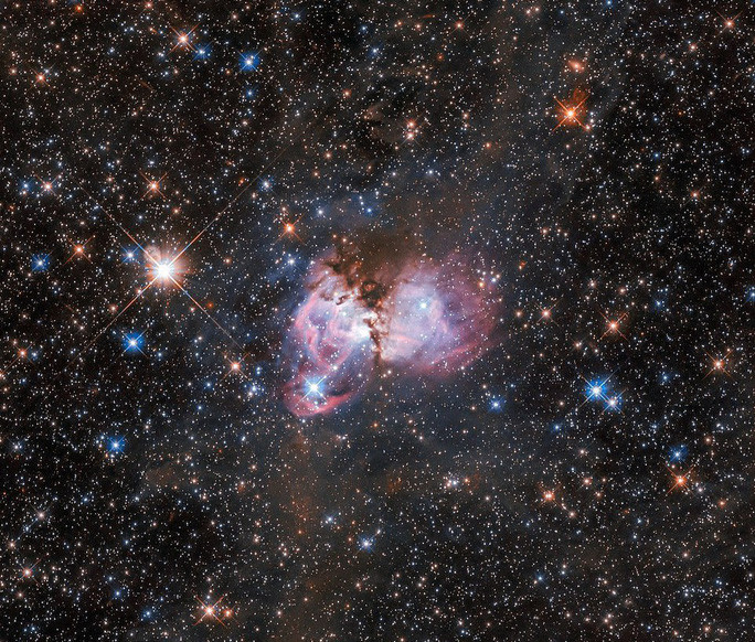 Cận cảnh đám mây hồng đang sinh ra hàng loạt sao khổng lồ - ảnh: NASA/ESA Cận cảnh đám mây hồng đang sinh ra hàng loạt sao khổng lồ - ảnh: NASA/ESA