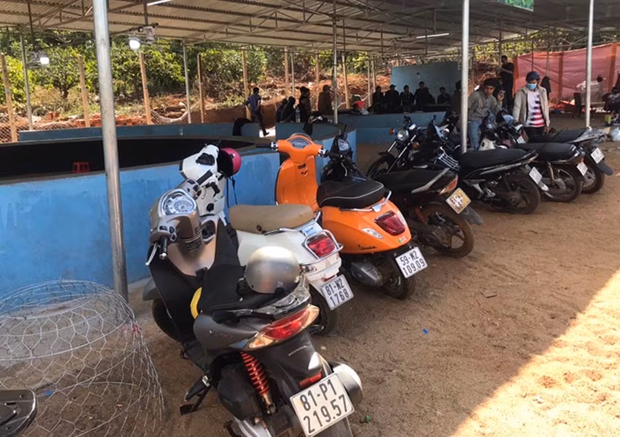  Nhiều phương tiện thu giữ trong vụ án đã không có người đến nhận. Ảnh: Văn Ngọc