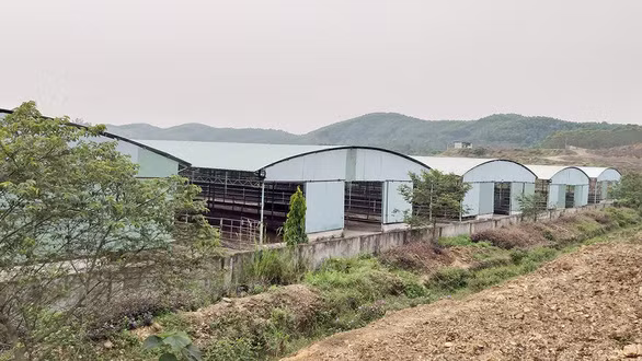  Nhiều khu chăn nuôi của dự án Bình Hà xuống cấp - Ảnh: VĂN ĐỊNH