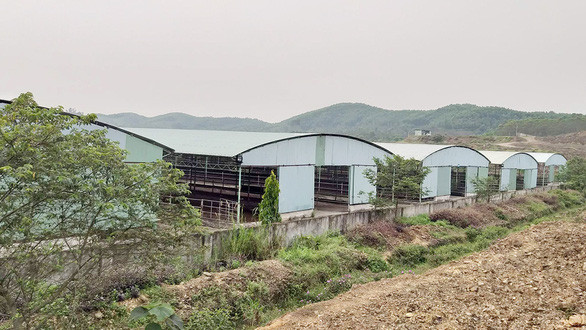 Nhiều khu chăn nuôi của dự án Bình Hà xuống cấp - Ảnh: VĂN ĐỊNH Nhiều khu chăn nuôi của dự án Bình Hà xuống cấp - Ảnh: VĂN ĐỊNH