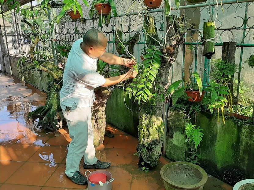 Hết giờ làm việc ở xã, bác Sâm lại về nhà chăm chút cho vườn hoa lan của mình. Hết giờ làm việc ở xã, bác Sâm lại về nhà chăm chút cho vườn hoa lan của mình.