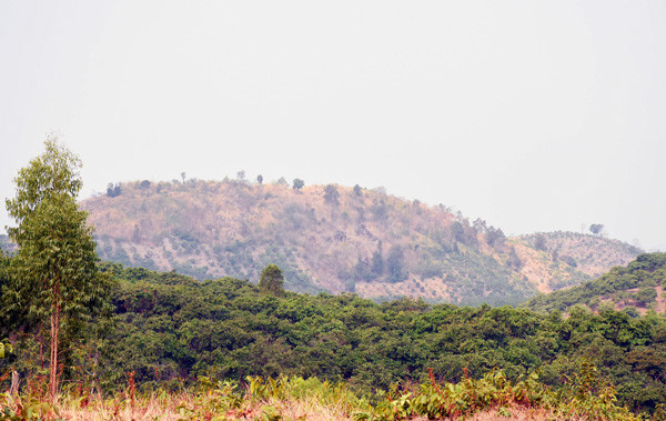 Ủy ban nhân dân huyện Kbang yêu cầu các xã Sơ Pai, Sơn Lang, Kông Lơng Khơng phối hợp với các đơn vị liên quan thu hồi 6 Giấy chứng nhận quyền sử dụng đất cấp trái phép trên đất lâm nghiệp. Ảnh: M.N