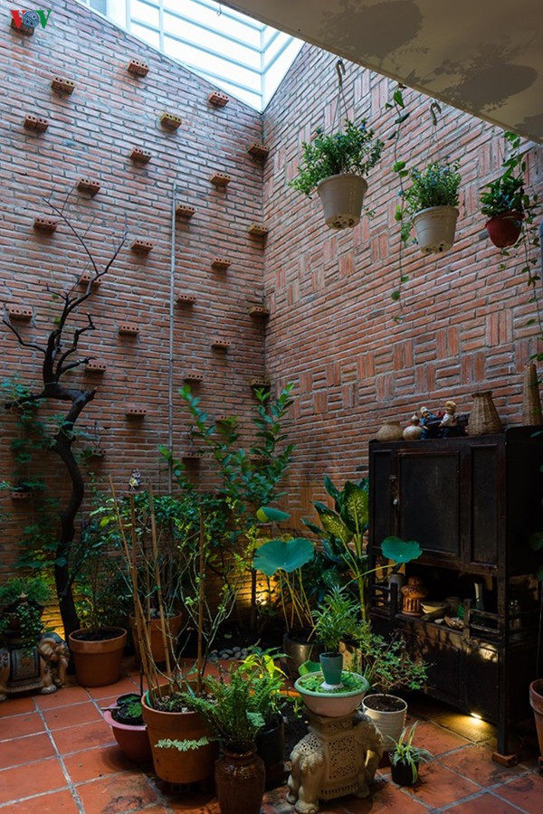 Tường xung quanh sân sau được xây trần không trát đem lại vẻ đẹp thô mộc. Cây xanh cũng là một loại “vật liệu” trong không gian này.