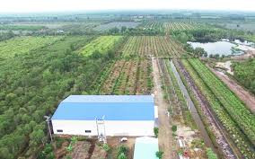 Ảnh minh họa Ảnh minh họa