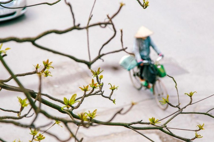 (Ảnh: Thế Đại/Vietnam+) (Ảnh: Thế Đại/Vietnam+)