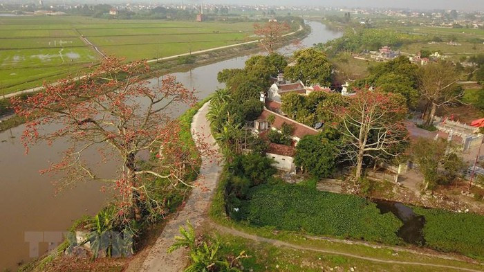 Tháng Ba mùa hoa gạo, mùa của những luyến tiếc, nhớ thương khi hoài niệm về những ngày thơ ấu chốn quê nhà. (Ảnh: Minh Đức/TTXVN) Tháng Ba mùa hoa gạo, mùa của những luyến tiếc, nhớ thương khi hoài niệm về những ngày thơ ấu chốn quê nhà. (Ảnh: Minh Đức/TTXVN)